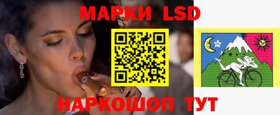 индика Кулебаки