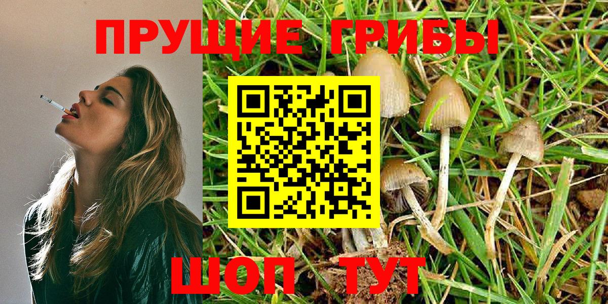 Псилоцибиновые грибы мухоморы  Вход с VPN  Губкинский 